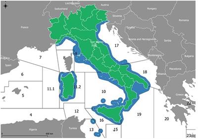 Tracking IUCN extinction risk at sub-regional scale: lessons from comparing Italian Red List assessments for cartilaginous species within a decade (2013–2022)